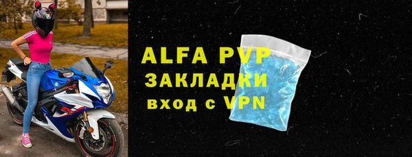 гашик Нефтекумск