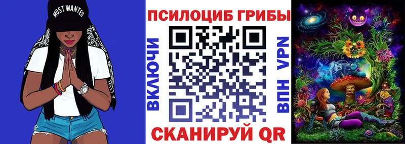 купить  цена  Новоуральск  Псилоцибиновые грибы MAGIC MUSHROOMS 